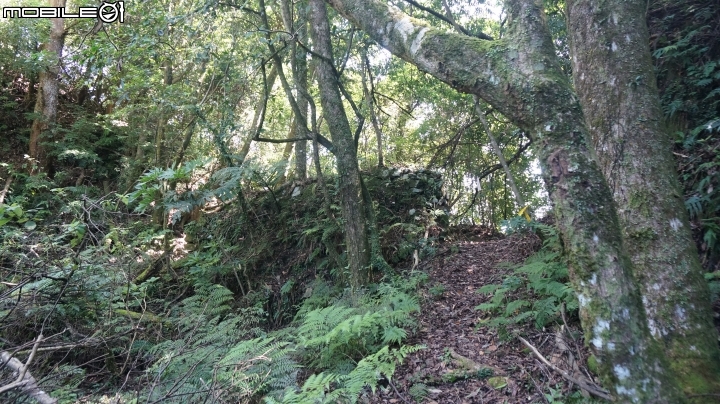 2014.9.3.比大鳥縱走(比林山.大窩山.鳥嘴山)白蘭部落.全都錄