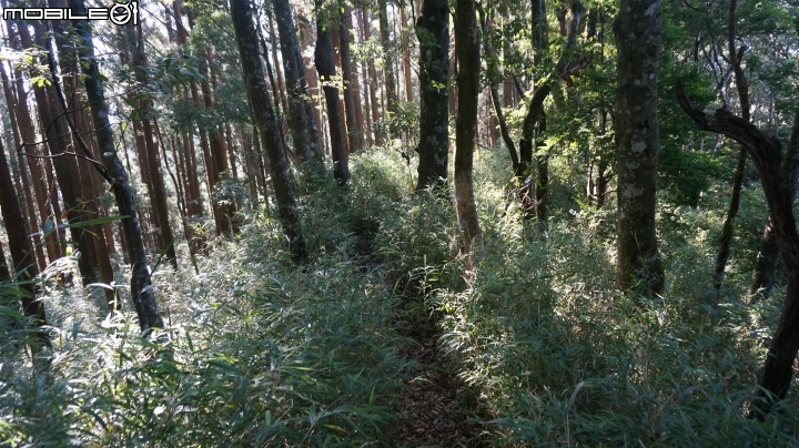 2014.9.3.比大鳥縱走(比林山.大窩山.鳥嘴山)白蘭部落.全都錄