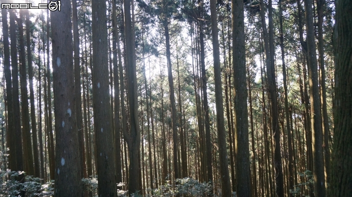 2014.9.3.比大鳥縱走(比林山.大窩山.鳥嘴山)白蘭部落.全都錄