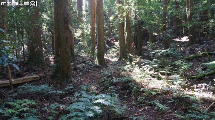 2014.9.3.比大鳥縱走(比林山.大窩山.鳥嘴山)白蘭部落.全都錄
