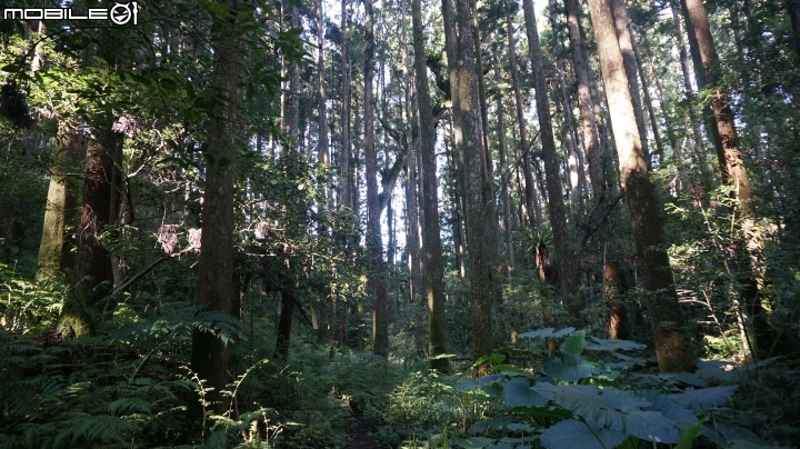 2014.9.3.比大鳥縱走(比林山.大窩山.鳥嘴山)白蘭部落.全都錄