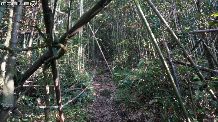 2014.9.3.比大鳥縱走(比林山.大窩山.鳥嘴山)白蘭部落.全都錄