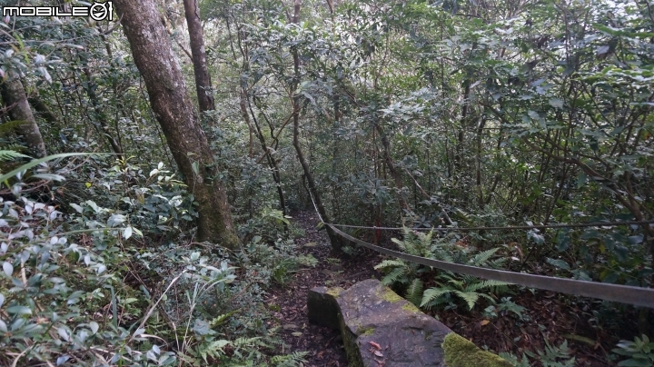 2014.9.3.比大鳥縱走(比林山.大窩山.鳥嘴山)白蘭部落.全都錄