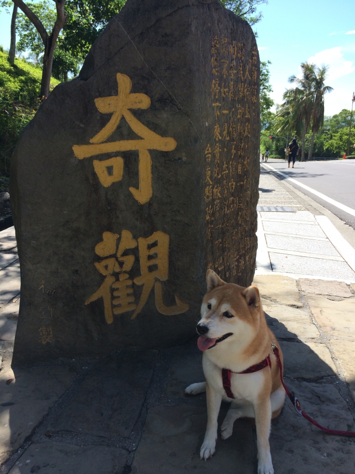 帶著柴兒去環島~~DAY1