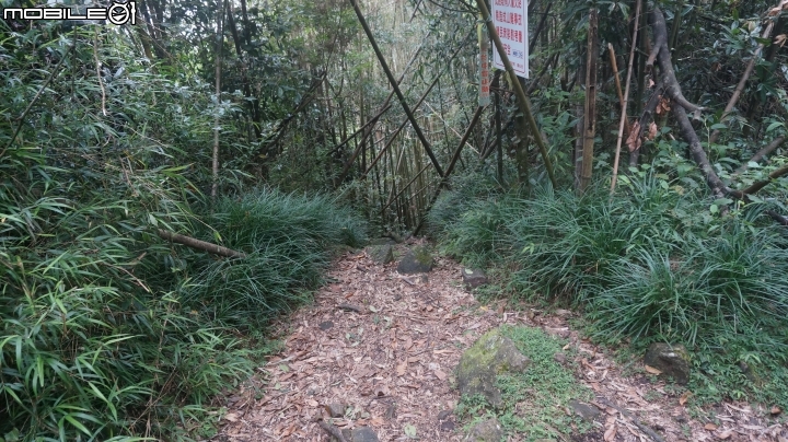 2014.9.3.比大鳥縱走(比林山.大窩山.鳥嘴山)白蘭部落.全都錄