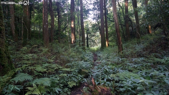 2014.9.3.比大鳥縱走(比林山.大窩山.鳥嘴山)白蘭部落.全都錄