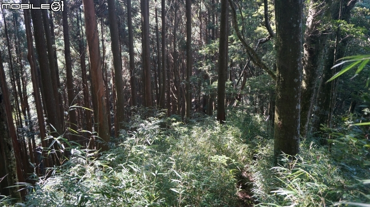 2014.9.3.比大鳥縱走(比林山.大窩山.鳥嘴山)白蘭部落.全都錄