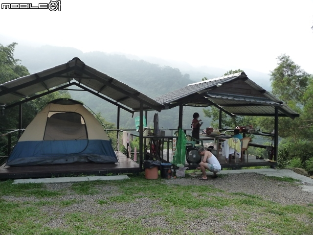 你...餵過野生的蜘蛛嗎?