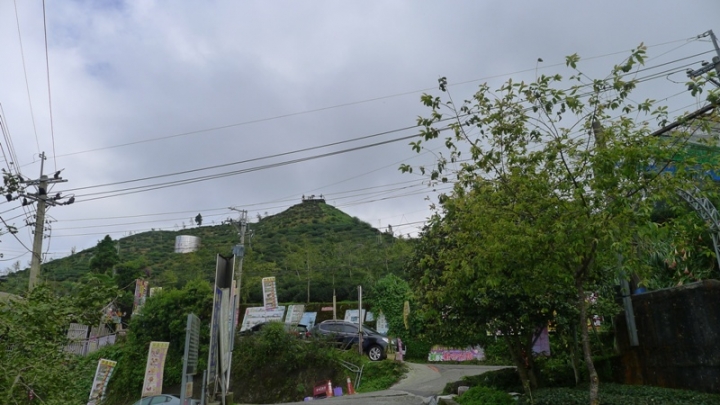 【車巡報告】上山睬藥--鹿谷銀杏森林尋幽