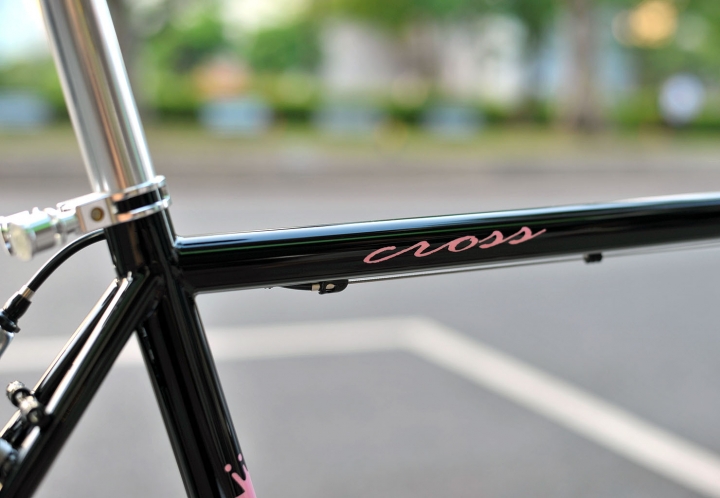SlideAway Cross 鋼管公路車- 休閒形態,完工!