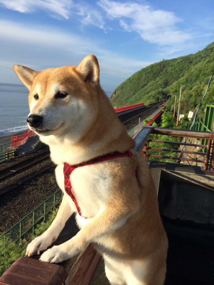帶著柴兒去環島~~DAY1