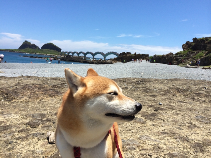 帶著柴兒去環島~~DAY1