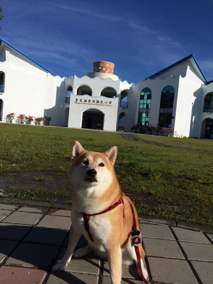 帶著柴兒去環島~~DAY1