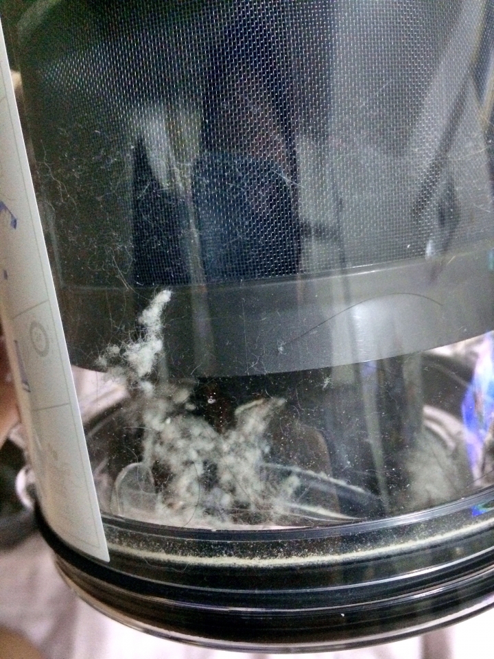 Dyson DC63銀藍款不專業開箱