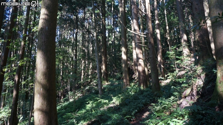 2014.9.3.比大鳥縱走(比林山.大窩山.鳥嘴山)白蘭部落.全都錄