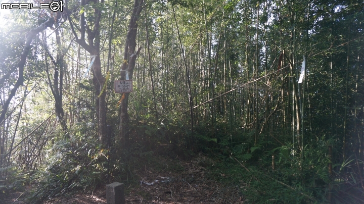 2014.9.3.比大鳥縱走(比林山.大窩山.鳥嘴山)白蘭部落.全都錄
