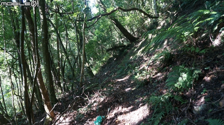 2014.9.3.比大鳥縱走(比林山.大窩山.鳥嘴山)白蘭部落.全都錄