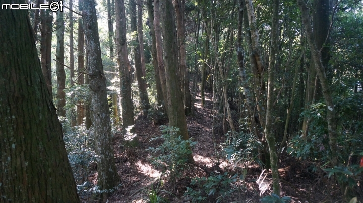 2014.9.3.比大鳥縱走(比林山.大窩山.鳥嘴山)白蘭部落.全都錄