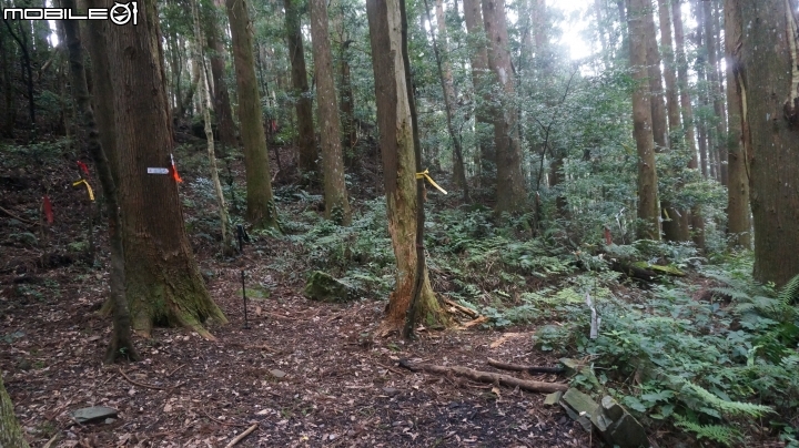 2014.9.3.比大鳥縱走(比林山.大窩山.鳥嘴山)白蘭部落.全都錄