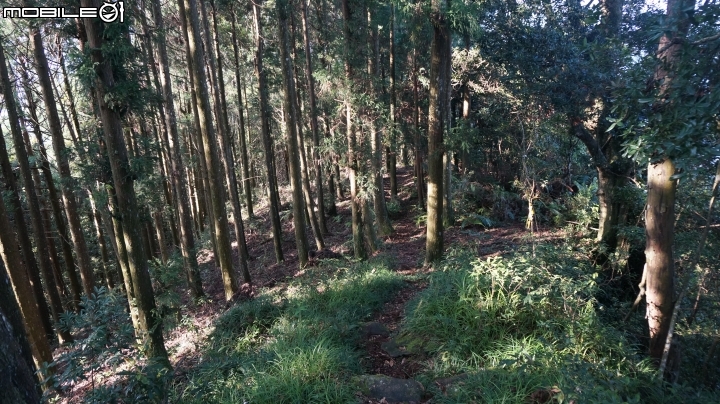 2014.9.3.比大鳥縱走(比林山.大窩山.鳥嘴山)白蘭部落.全都錄