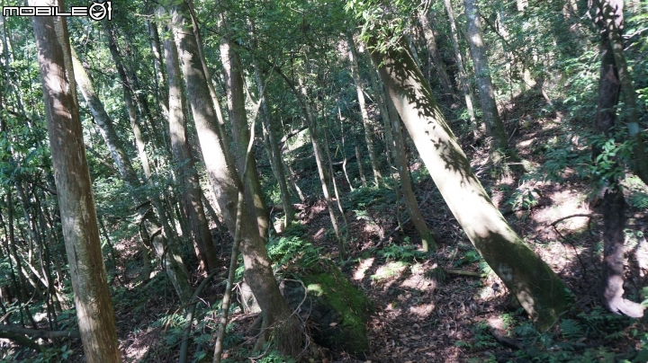 2014.9.3.比大鳥縱走(比林山.大窩山.鳥嘴山)白蘭部落.全都錄