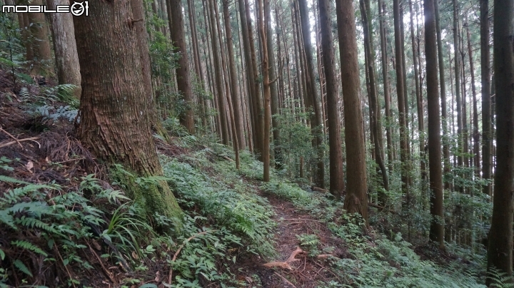 2014.9.3.比大鳥縱走(比林山.大窩山.鳥嘴山)白蘭部落.全都錄
