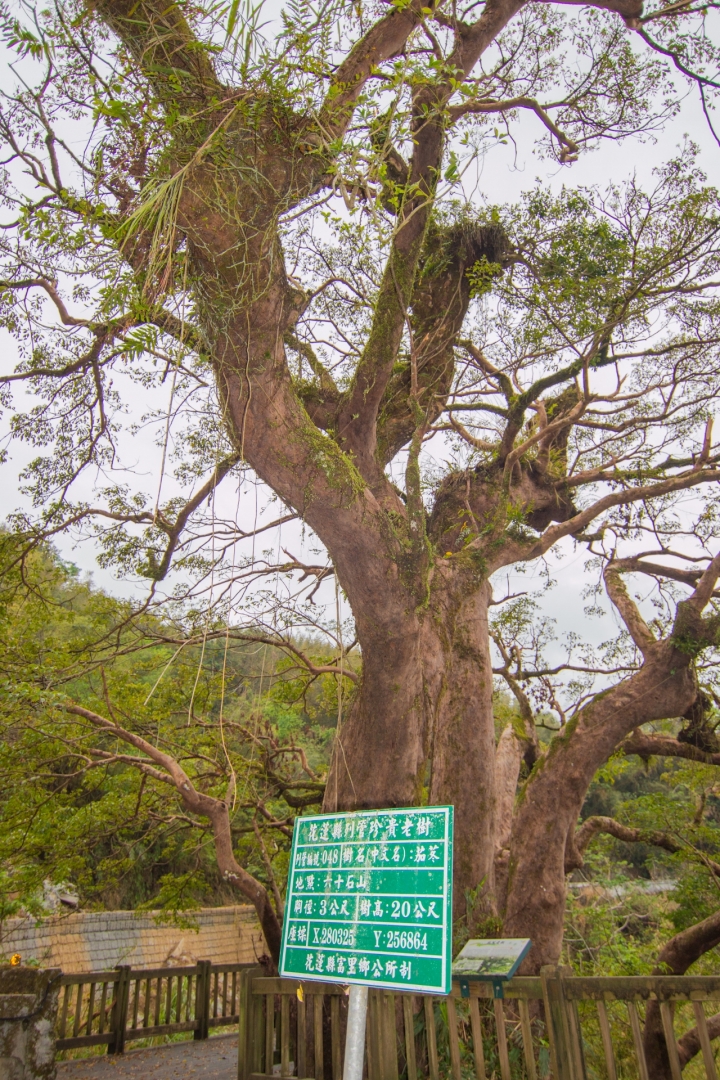 放下一切走吧!環島露營旅行去Day 4 Drop everything and go! Island camping trip to Day 4