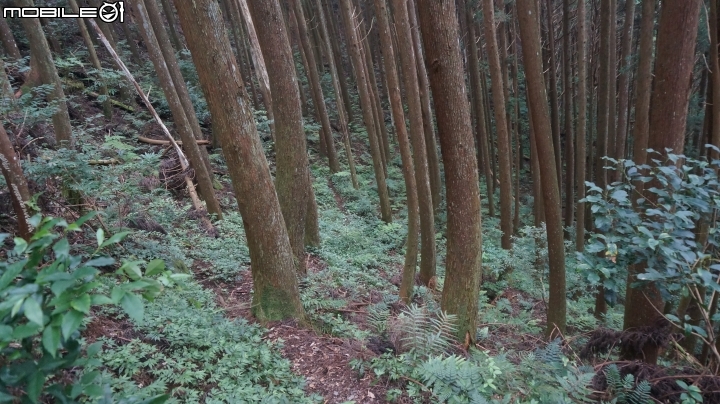 2014.9.3.比大鳥縱走(比林山.大窩山.鳥嘴山)白蘭部落.全都錄