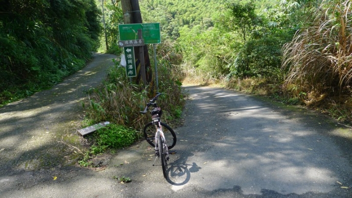 【車巡報告】上山睬藥--鹿谷銀杏森林尋幽