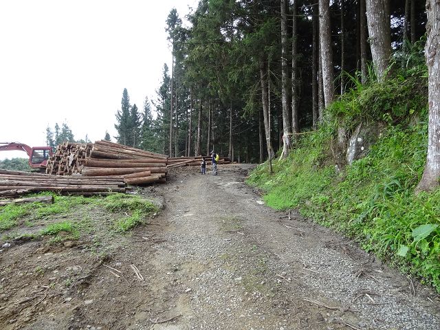 親子旅遊-羅山林道