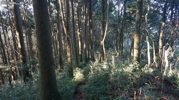 2014.9.3.比大鳥縱走(比林山.大窩山.鳥嘴山)白蘭部落.全都錄