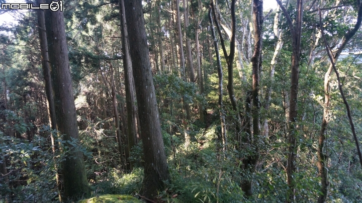 2014.9.3.比大鳥縱走(比林山.大窩山.鳥嘴山)白蘭部落.全都錄