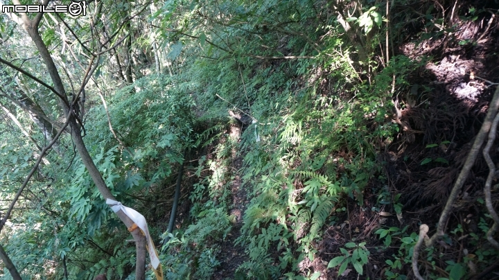 2014.9.3.比大鳥縱走(比林山.大窩山.鳥嘴山)白蘭部落.全都錄