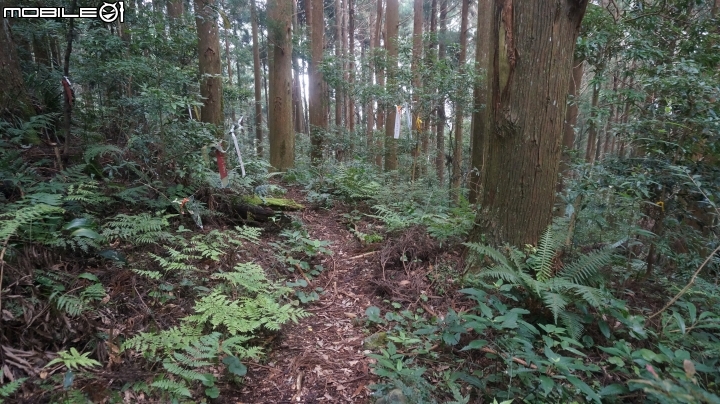 2014.9.3.比大鳥縱走(比林山.大窩山.鳥嘴山)白蘭部落.全都錄