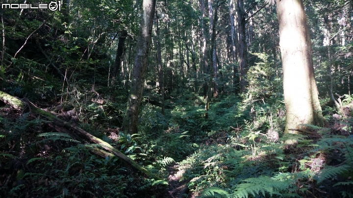 2014.9.3.比大鳥縱走(比林山.大窩山.鳥嘴山)白蘭部落.全都錄