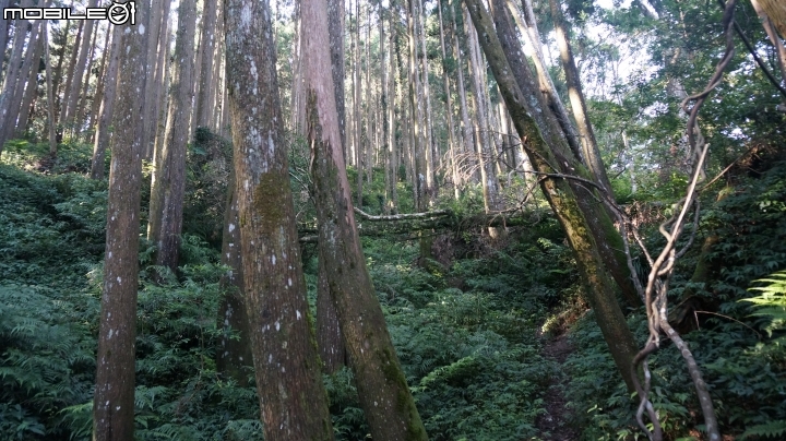 2014.9.3.比大鳥縱走(比林山.大窩山.鳥嘴山)白蘭部落.全都錄