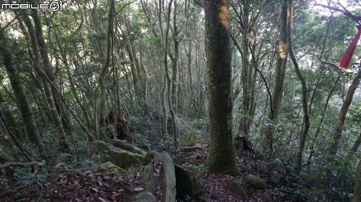 2014.9.3.比大鳥縱走(比林山.大窩山.鳥嘴山)白蘭部落.全都錄