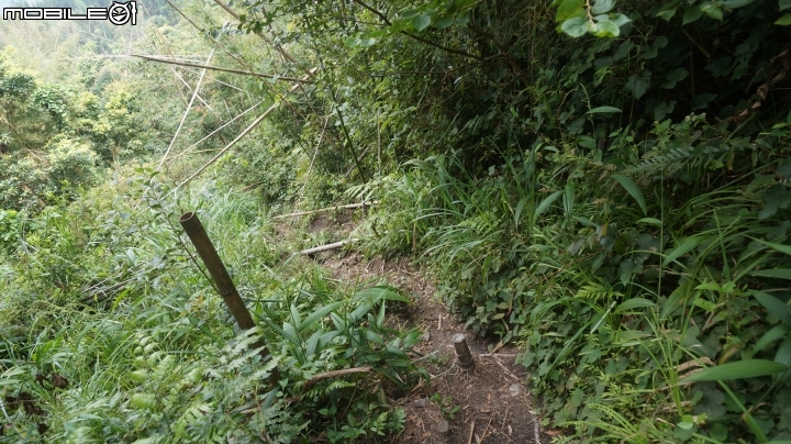2014.9.3.比大鳥縱走(比林山.大窩山.鳥嘴山)白蘭部落.全都錄
