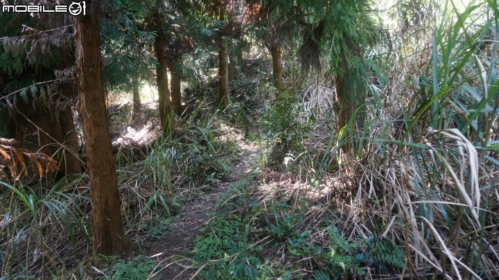 2014.9.3.比大鳥縱走(比林山.大窩山.鳥嘴山)白蘭部落.全都錄