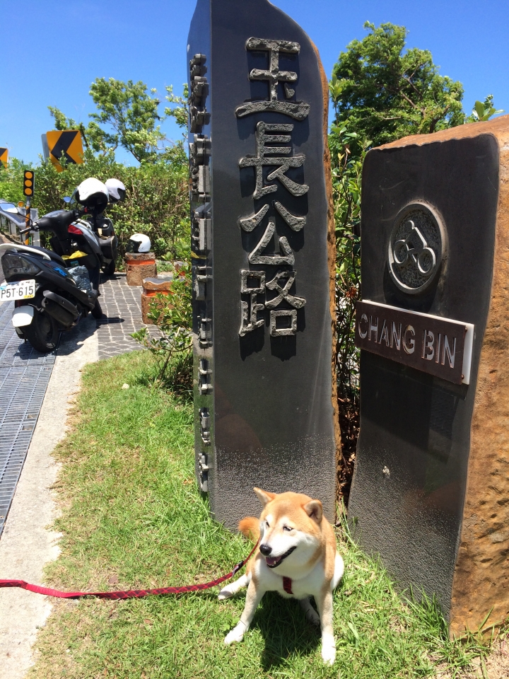帶著柴兒去環島~~DAY1