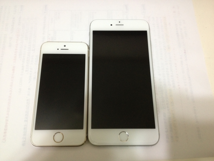 iPhone 6+ 銀色及原廠皮質保護殼