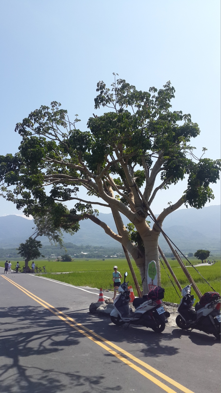 兩天一夜半島之旅
