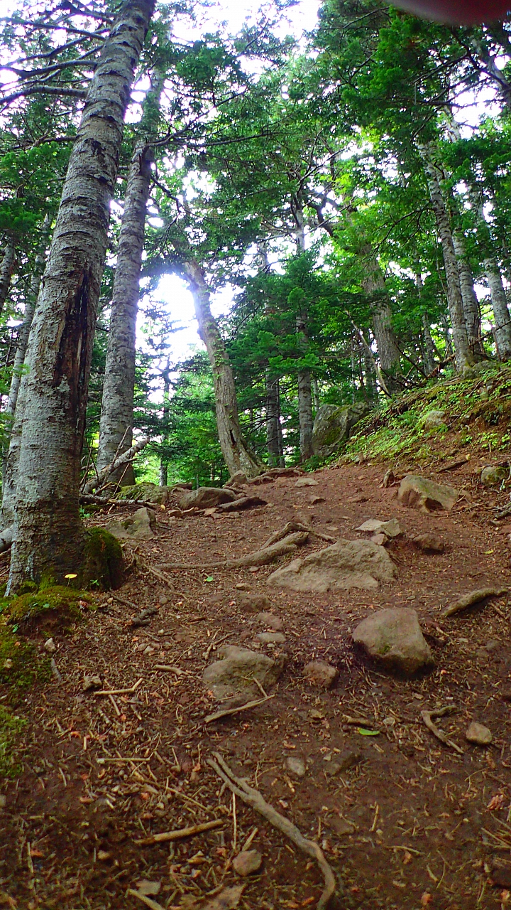 悲情 北海道之旅 完 全日本壓馬路(株)