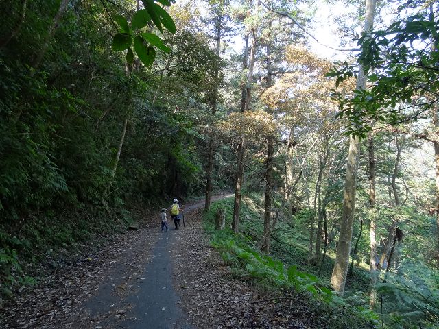 親子旅遊-蕙蓀林場