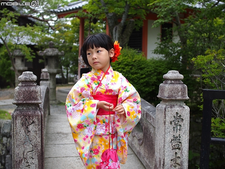 新註冊賬戶的小爆發,初夏的關西遊(內有美女照)