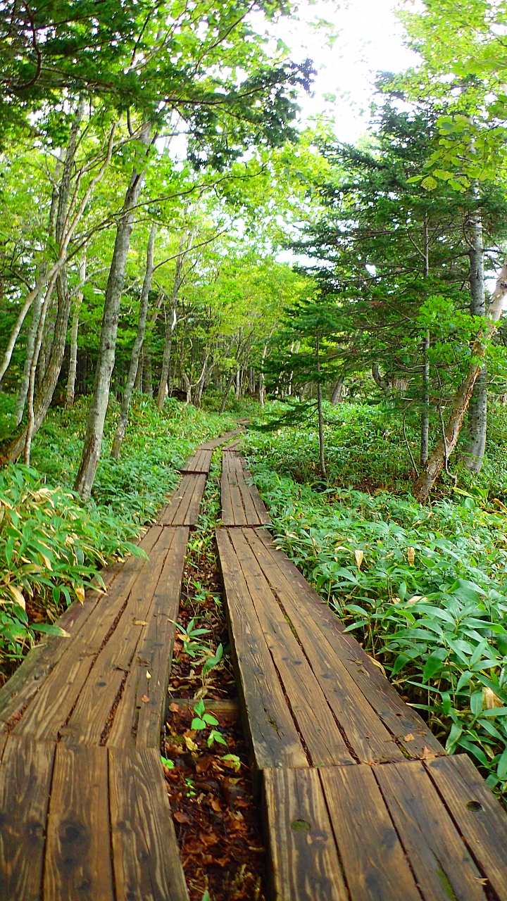 悲情 北海道之旅 完 全日本壓馬路(株)