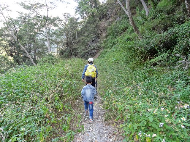 親子旅遊-蕙蓀林場