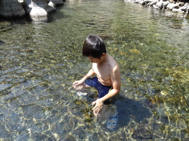 親子旅遊-蕙蓀林場