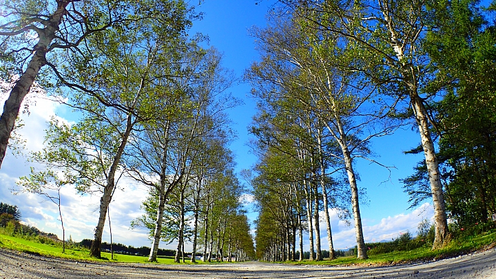 悲情 北海道之旅 完 全日本壓馬路(株)