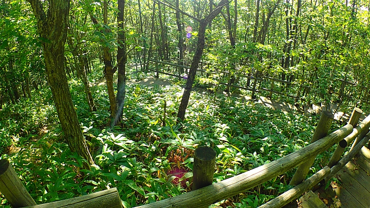 悲情 北海道之旅 完 全日本壓馬路(株)